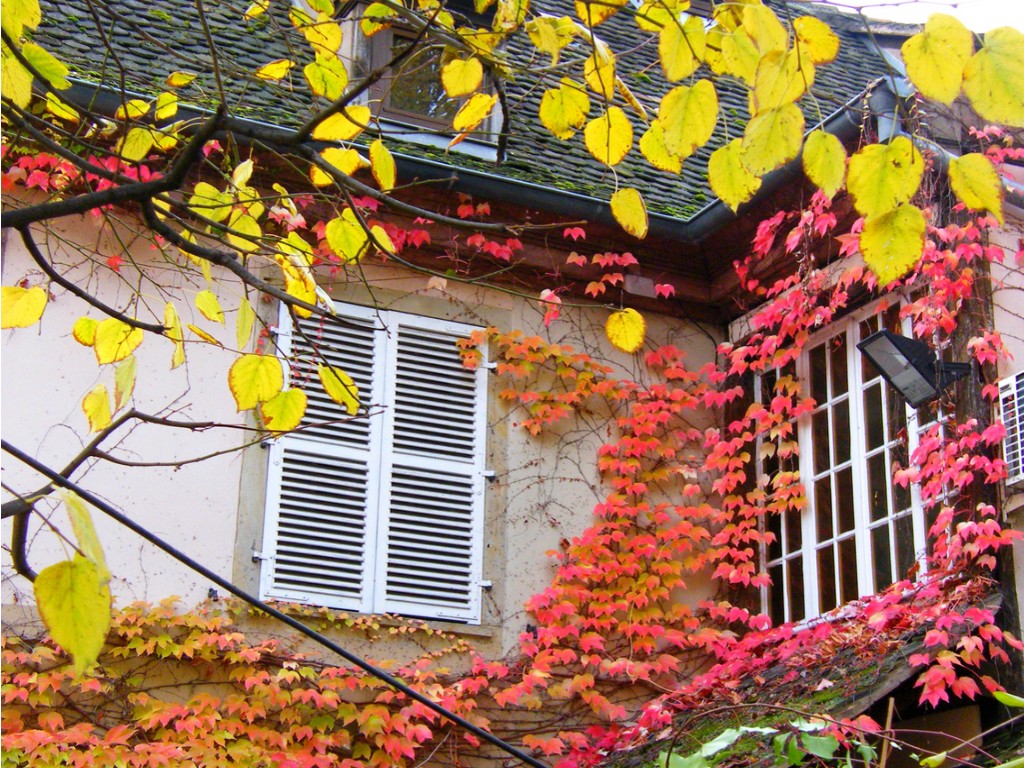 Strasbourg